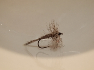 Size 20 Grizzly Midge